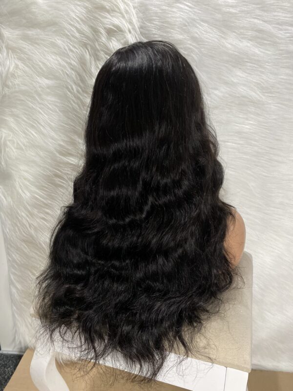 image00004 SDD Virgin Human Hair Loose Wave Wig