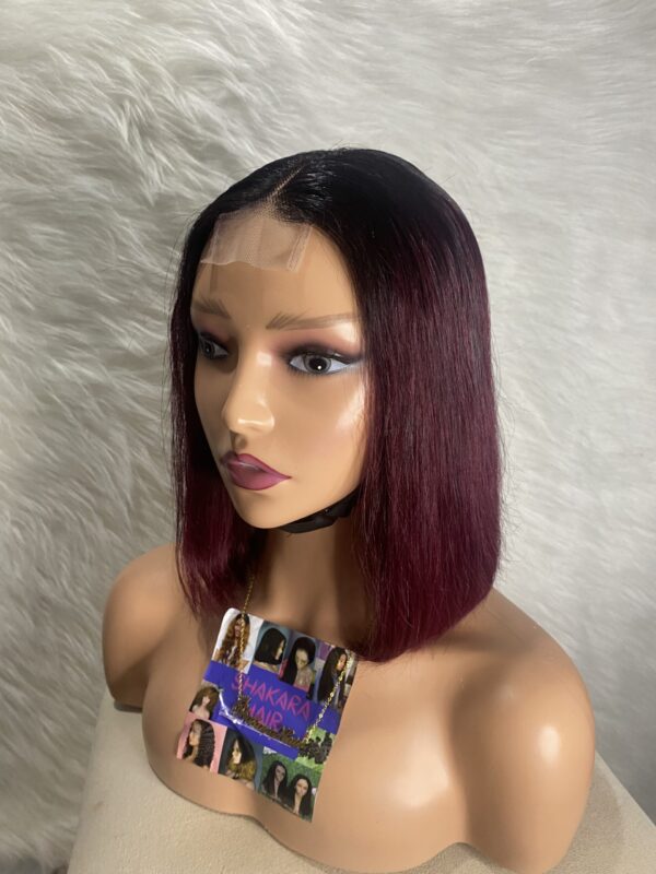 image00019 Burgundy Virgin Human Hair Straight Bob Double Drawn Wig