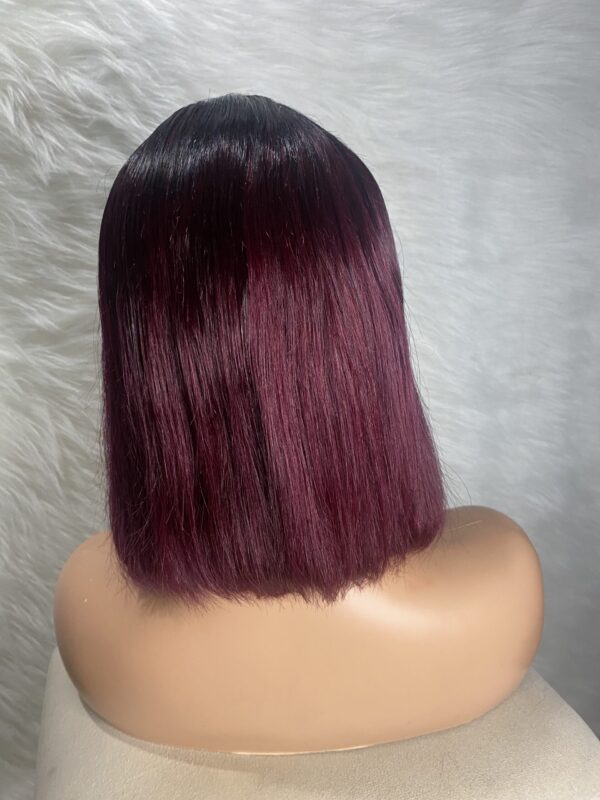 image00020 Burgundy Virgin Human Hair Straight Bob Double Drawn Wig