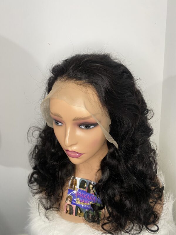 image00021 SDD Virgin Human Hair Bouncy 13x4 Frontal Wig