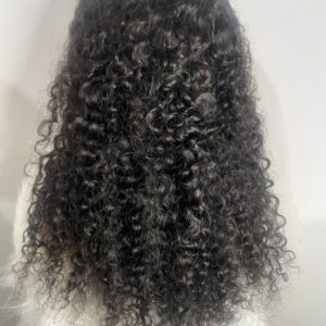 image00012-3-300x300 Black Virgin Human Hair SDD Half Caste Curly Wig