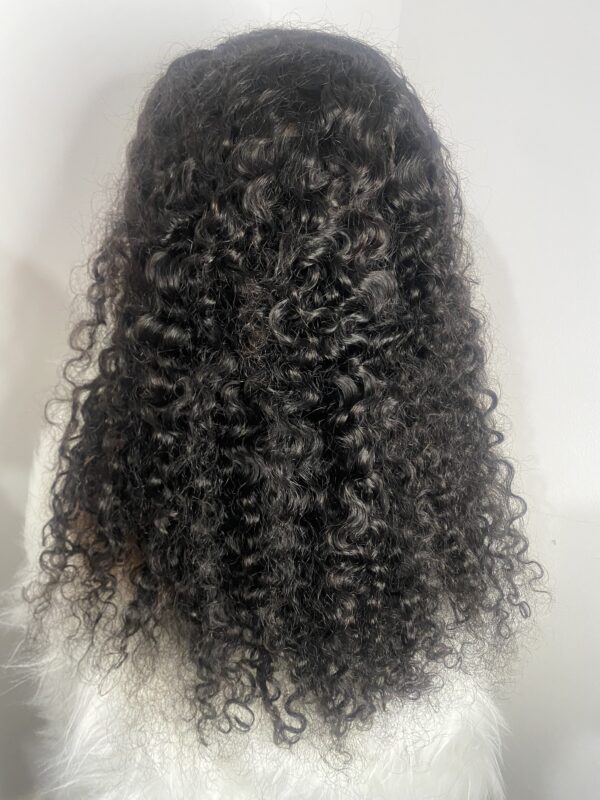 image00012 Black Virgin Human Hair SDD Half Caste Curly Wig