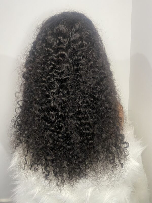 image00013 Black Virgin Human Hair SDD Half Caste Curly Wig