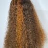 image00017 Virgin Human Hair Water Curly Wig (Brown & Burnt Orange Highlights)