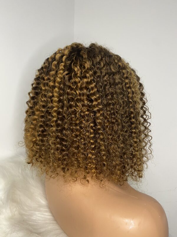image00027 Virgin Human Hair Kinky Curls Wig