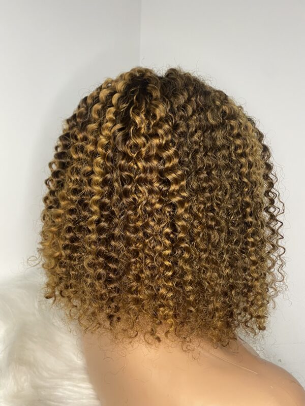 image00032 Virgin Human Hair Kinky Curls Wig