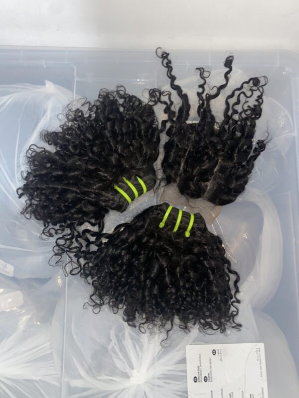 IMG_0661 Virgin human hair Pixie Curls Bundles & 4x4 Lace Closure