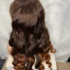 IMG_1329 Raw Vietnamese SDD Human Hair Bouncy Wig (Orange&Brown Highlights)