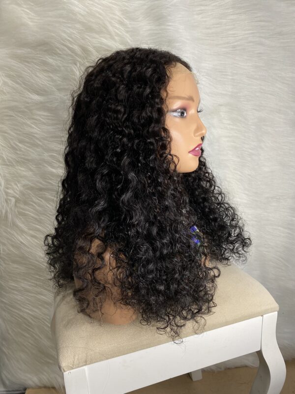 IMG_2393 Human Hair Water Curls 20 inches Wig (Black, Wine & Highlights colors)