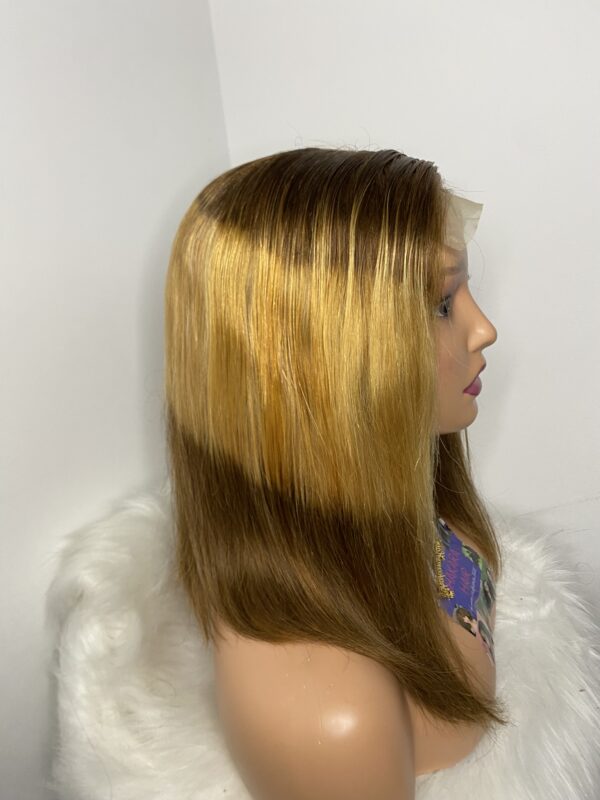 IMG_7211 Virgin Human Hair Silky Straight 14 Inches Wig (Highlights)