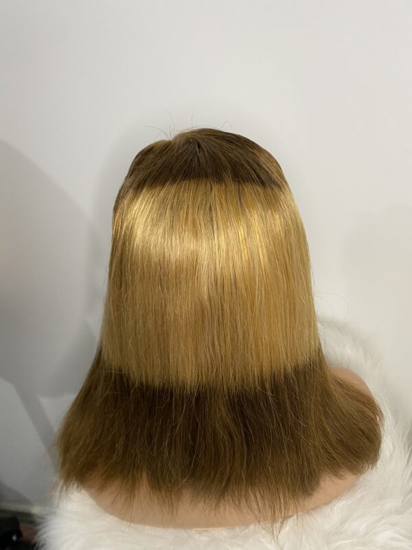 IMG_7227 Virgin Human Hair Silky Straight 14 Inches Wig (Highlights)