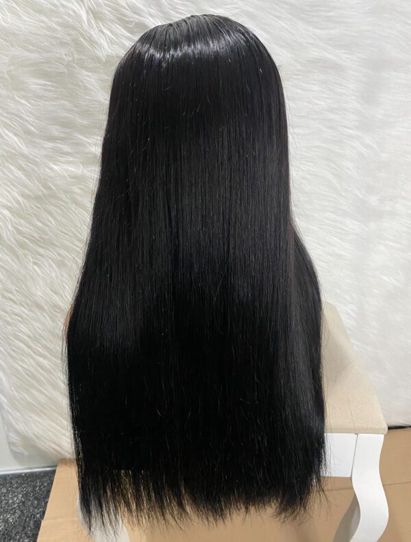 IMG_7848 SDD Bone Straight Raw Human Hair Wig (Black - 24inches)