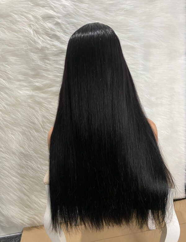 IMG_7849 SDD Bone Straight Raw Human Hair Wig (Black - 24inches)