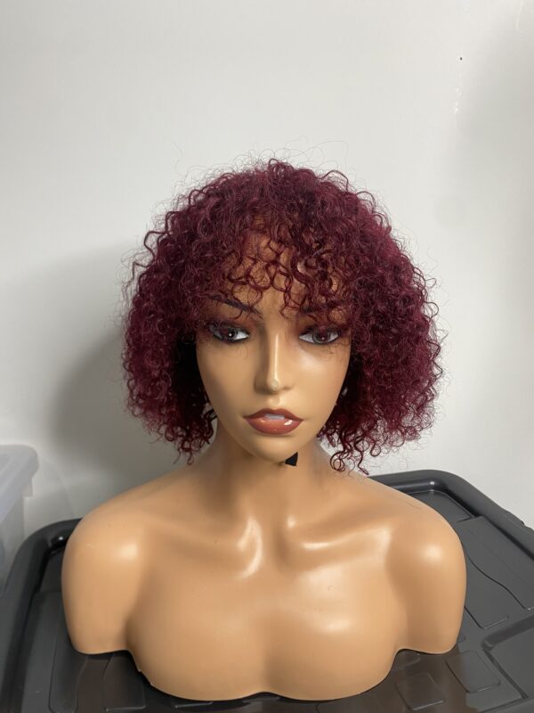 IMG_8201 Human Hair curly fringe Wig (colors available)