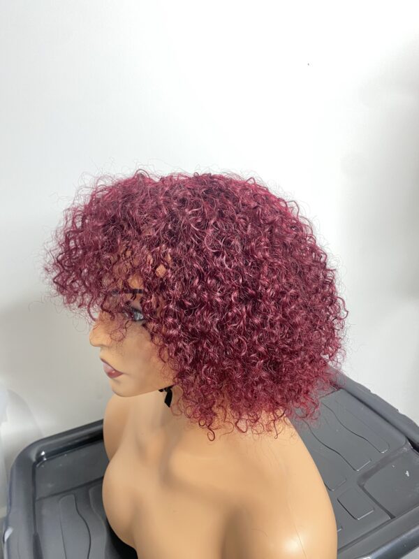 IMG_8210 Human Hair curly fringe Wig (colors available)