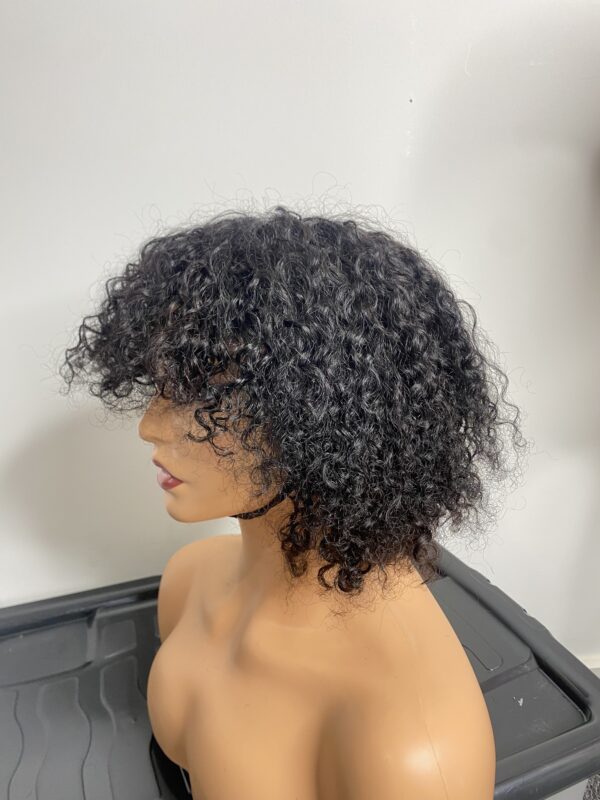 IMG_8212 Human Hair curly fringe Wig (colors available)