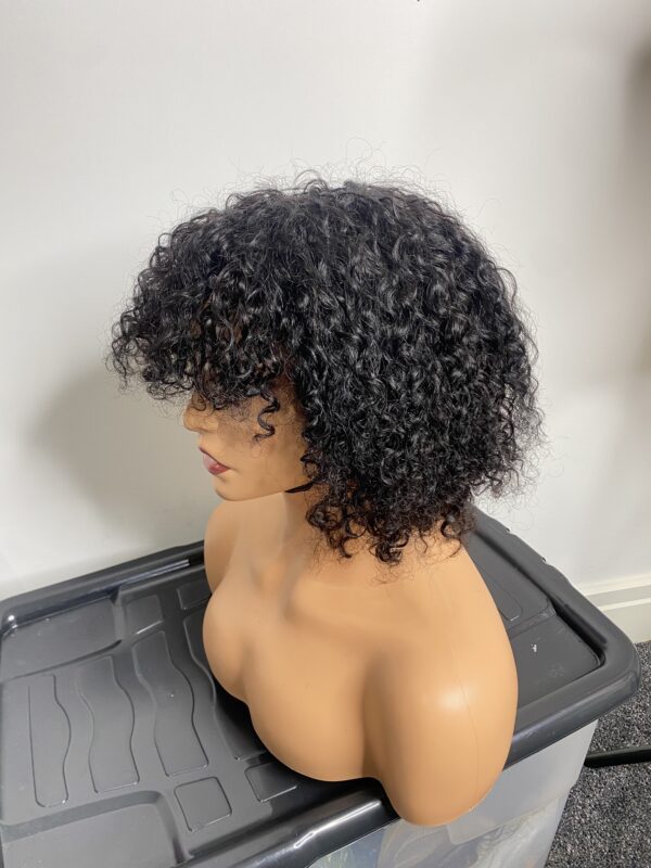 IMG_8221 Human Hair curly fringe Wig (colors available)