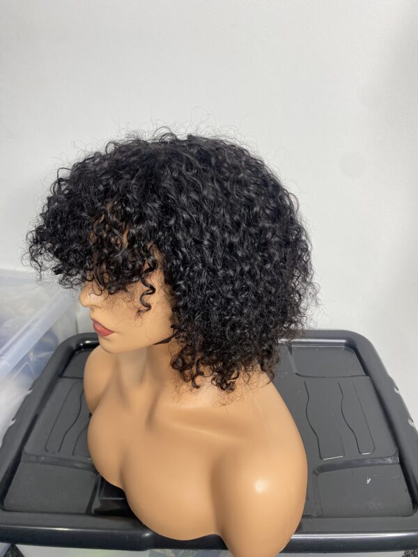 IMG_8223 Human Hair curly fringe Wig (colors available)