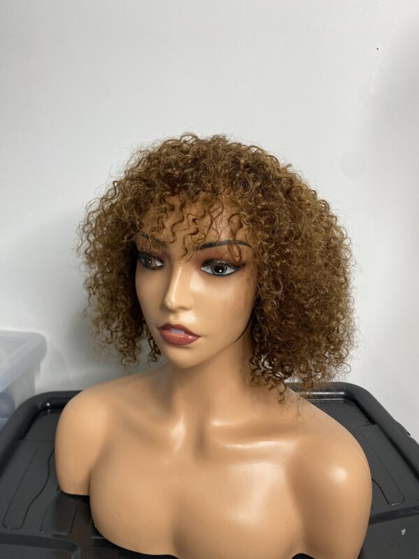 IMG_8226 Human Hair curly fringe Wig (colors available)