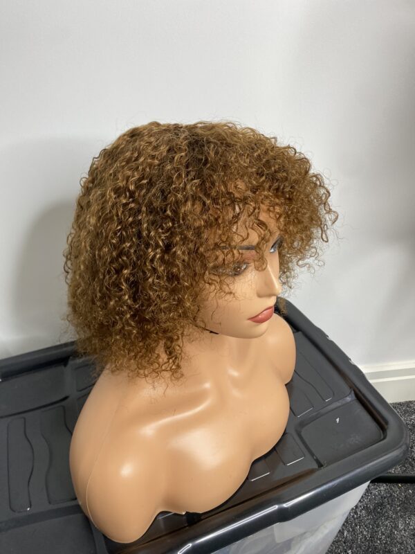 IMG_8228 Human Hair curly fringe Wig (colors available)