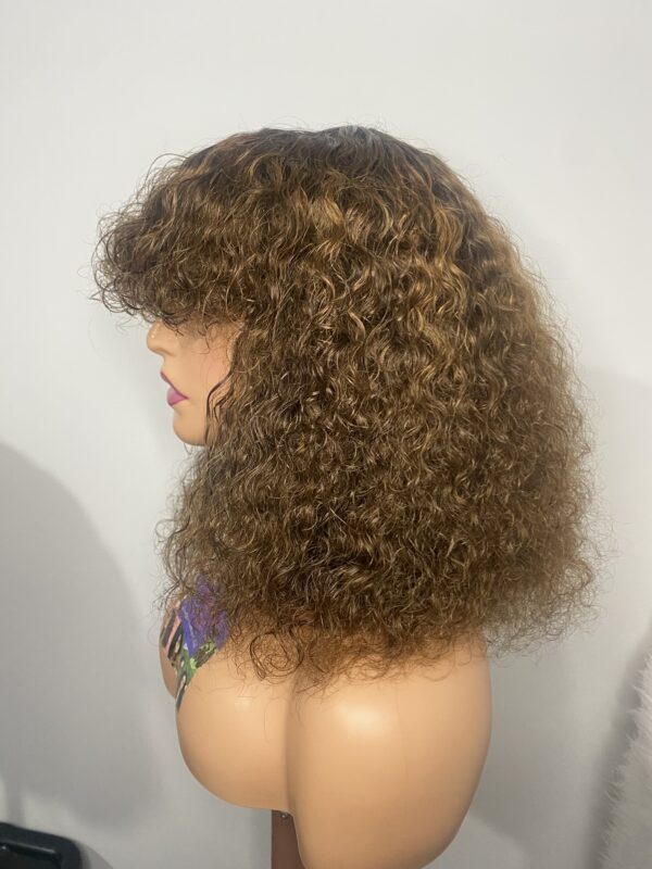 IMG_8569 Virgin Human Hair Celebrity Fringe Jerry Curly Wig, Brown&Blonde Highlights