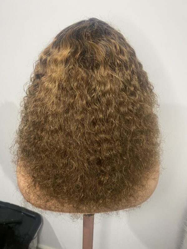 IMG_8577 Virgin Human Hair Celebrity Fringe Jerry Curly Wig, Brown&Blonde Highlights