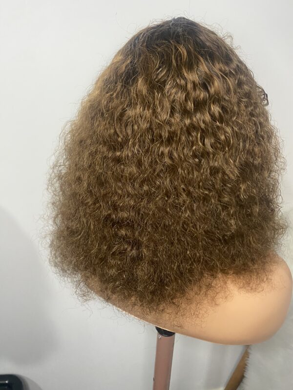 IMG_8578 Virgin Human Hair Celebrity Fringe Jerry Curly Wig, Brown&Blonde Highlights