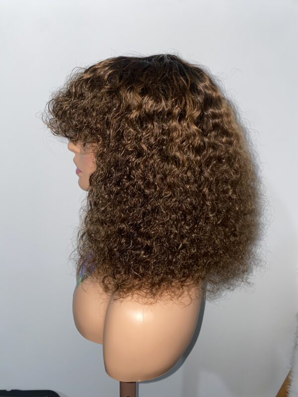IMG_8626 Virgin Human Hair Celebrity Fringe Jerry Curly Wig, Brown&Blonde Highlights