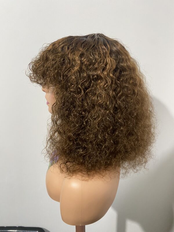 IMG_8628 Virgin Human Hair Celebrity Fringe Jerry Curly Wig, Brown&Blonde Highlights