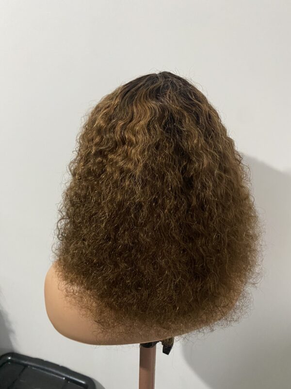 IMG_8630 Virgin Human Hair Celebrity Fringe Jerry Curly Wig, Brown&Blonde Highlights