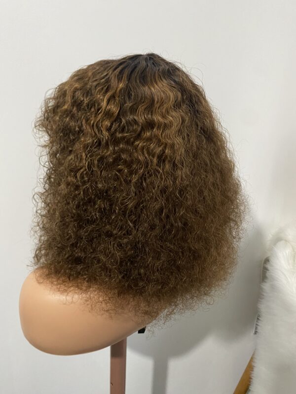 IMG_8632 Virgin Human Hair Celebrity Fringe Jerry Curly Wig, Brown&Blonde Highlights