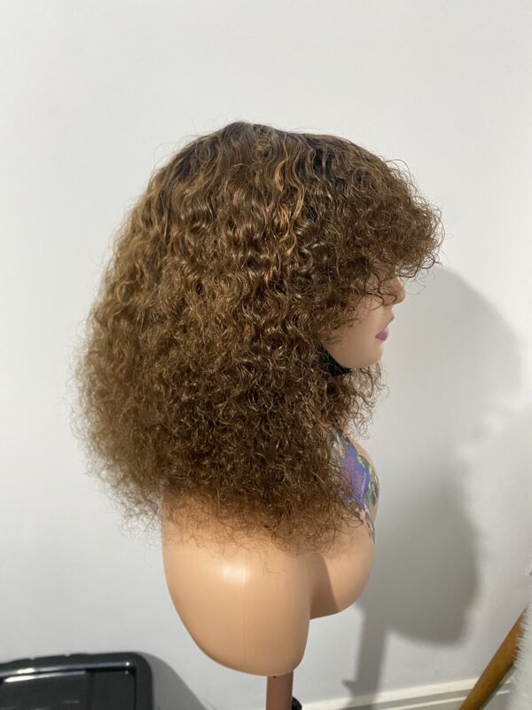 IMG_8634 Virgin Human Hair Celebrity Fringe Jerry Curly Wig, Brown&Blonde Highlights