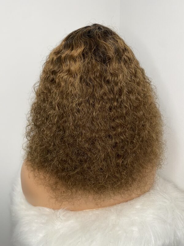 IMG_8645 Virgin Human Hair Celebrity Fringe Jerry Curly Wig, Brown&Blonde Highlights