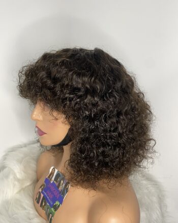 IMG_8891 Virgin Human Hair Celebrity Fringe Jerry Curly Wig, brown