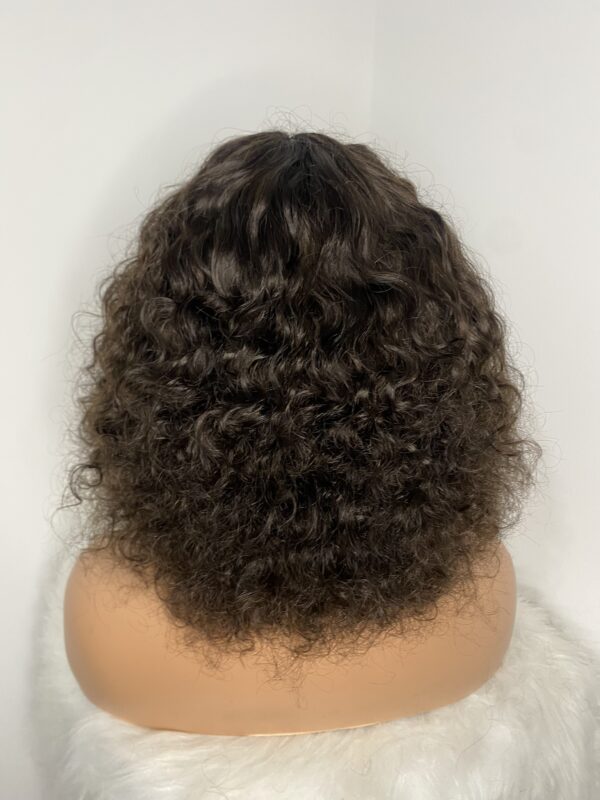 IMG_8904 Virgin Human Hair Celebrity Fringe Jerry Curly Wig, brown