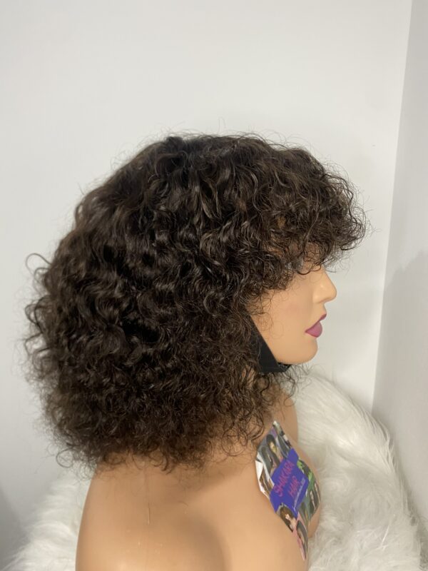 IMG_8915 Virgin Human Hair Celebrity Fringe Jerry Curly Wig, brown