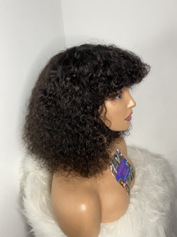 IMG_8950 Virgin Human Hair Celebrity Fringe Jerry Curly Wig, Natural black