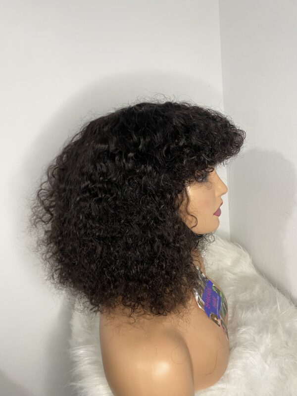 IMG_8956 Virgin Human Hair Celebrity Fringe Jerry Curly Wig, Natural black