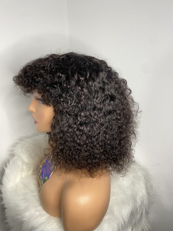 IMG_8977 Virgin Human Hair Celebrity Fringe Jerry Curly Wig, Natural black