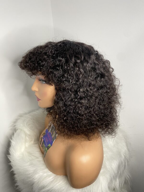 IMG_8979 Virgin Human Hair Celebrity Fringe Jerry Curly Wig, Natural black
