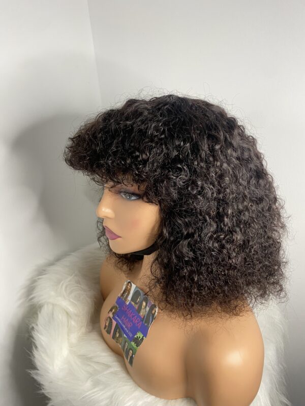 IMG_8982 Virgin Human Hair Celebrity Fringe Jerry Curly Wig, Natural black