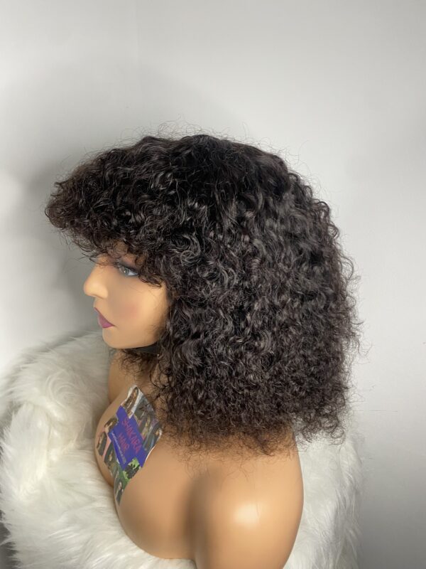IMG_8984 Virgin Human Hair Celebrity Fringe Jerry Curly Wig, Natural black