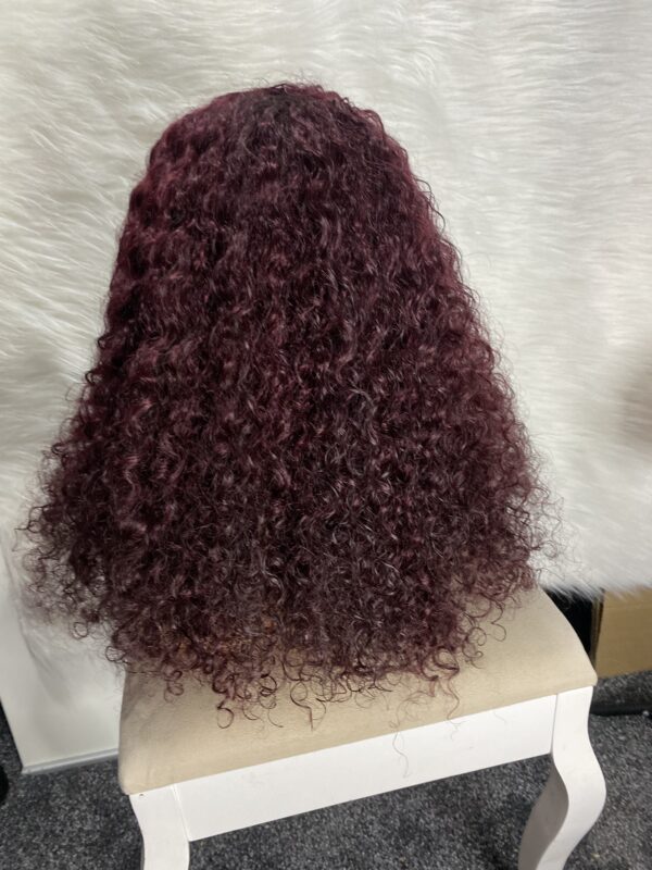 IMG_9033 Human Hair Water Curls 20 inches Wig (Black, Wine & Highlights colors)