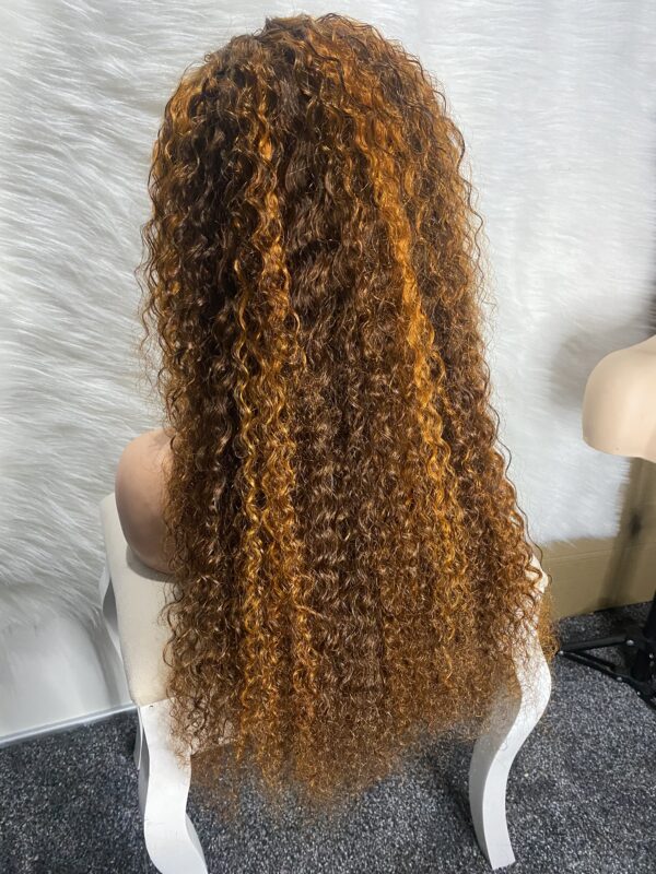 IMG_9263 Virgin Human Hair Water Curly Wig (Brown & Burnt Orange Highlights) 26inches
