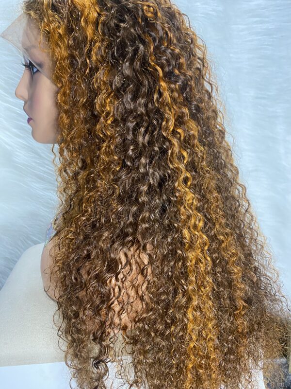 IMG_9286 Virgin Human Hair Water Curly Wig (Brown & Burnt Orange Highlights) 26inches