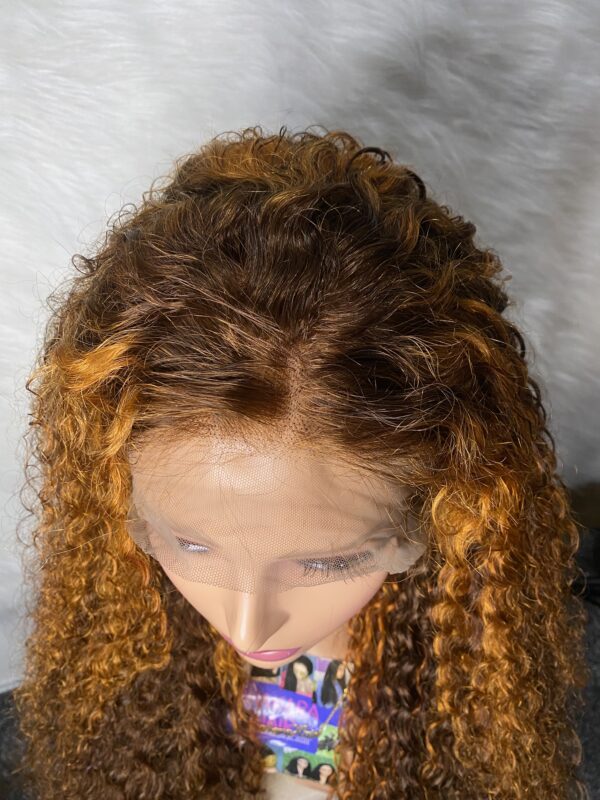 IMG_9307 Virgin Human Hair Water Curly Wig (Brown & Burnt Orange Highlights) 26inches