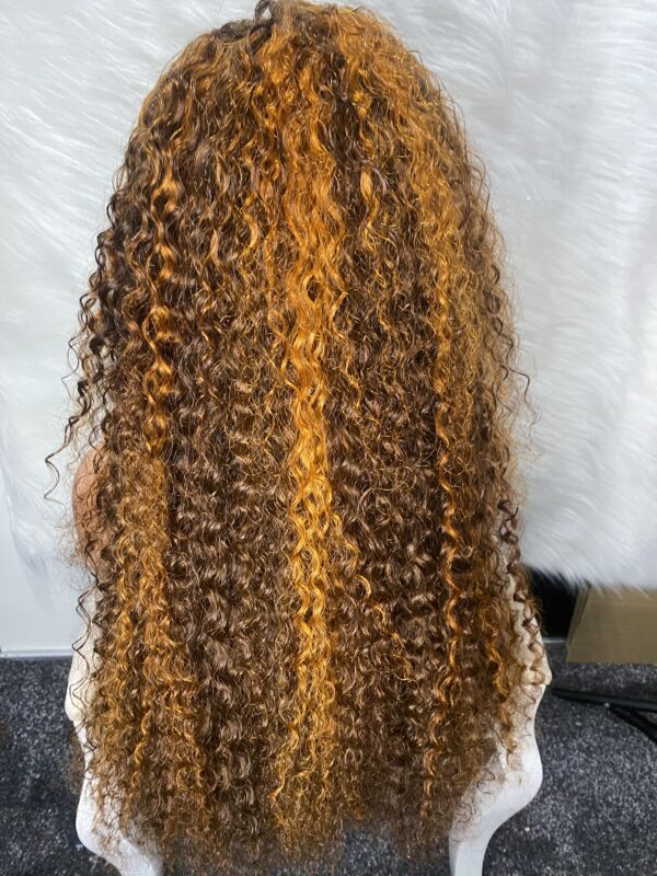 IMG_9310 Virgin Human Hair Water Curly Wig (Brown & Burnt Orange Highlights) 26inches